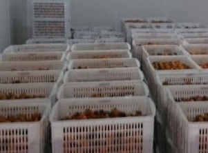 保鮮庫和冷凍庫的區別。